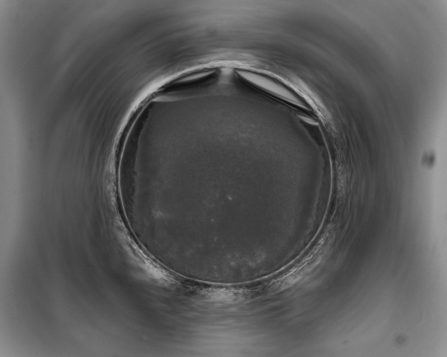 X0000100371240200806131030