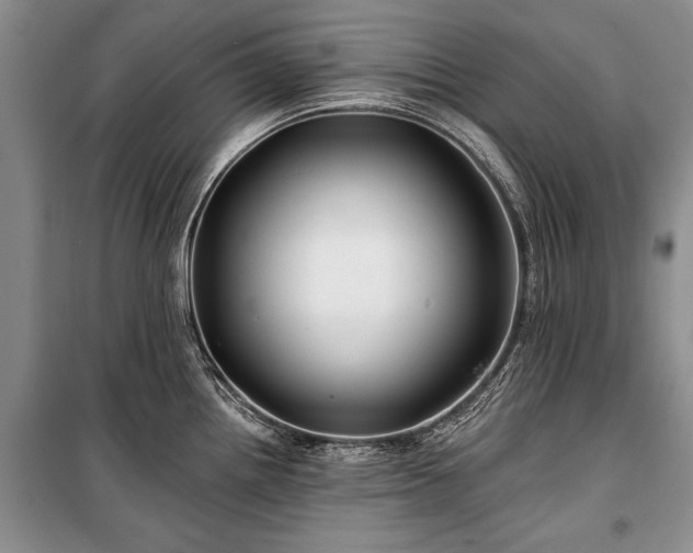 X0000100371242200806131030