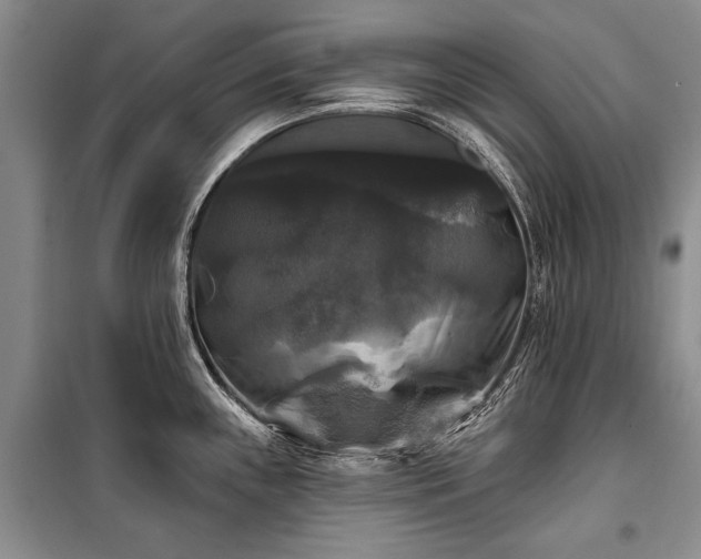 X0000100371243200806131030