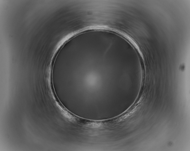 X0000100371245200806131030