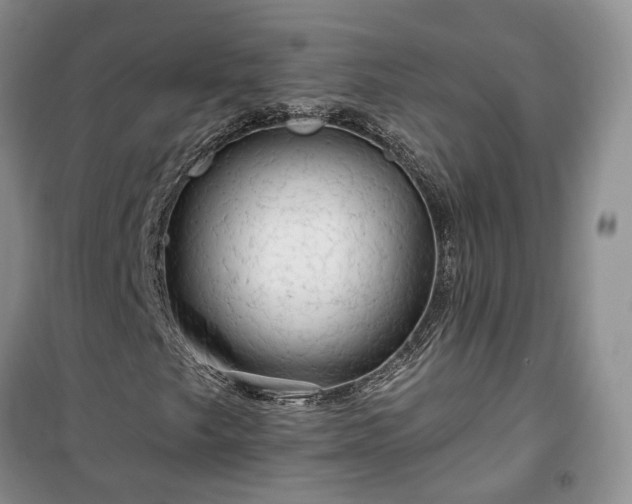 X0000100371249200806131029