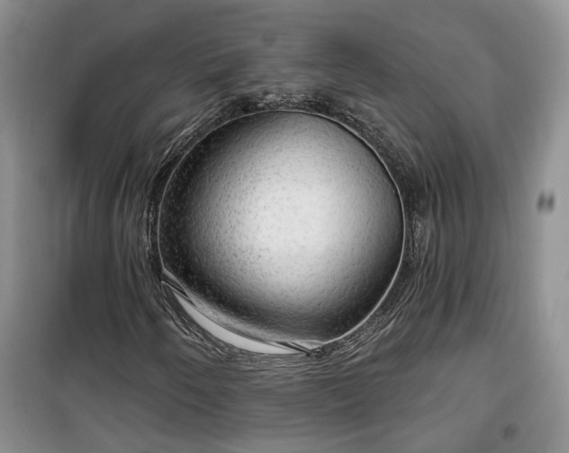 X0000100371250200806131029