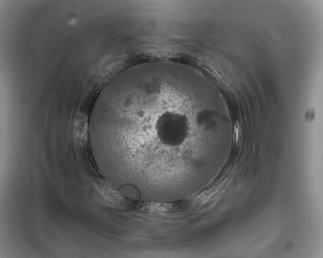 X0000100371251200806131029