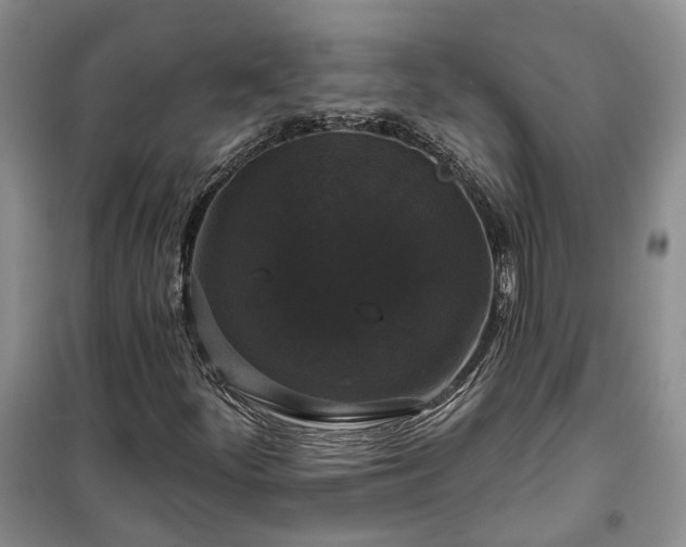 X0000100371252200806131029