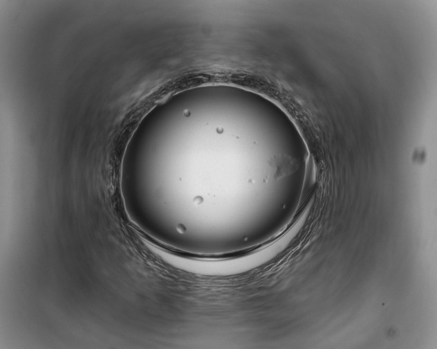 X0000100371253200806131029