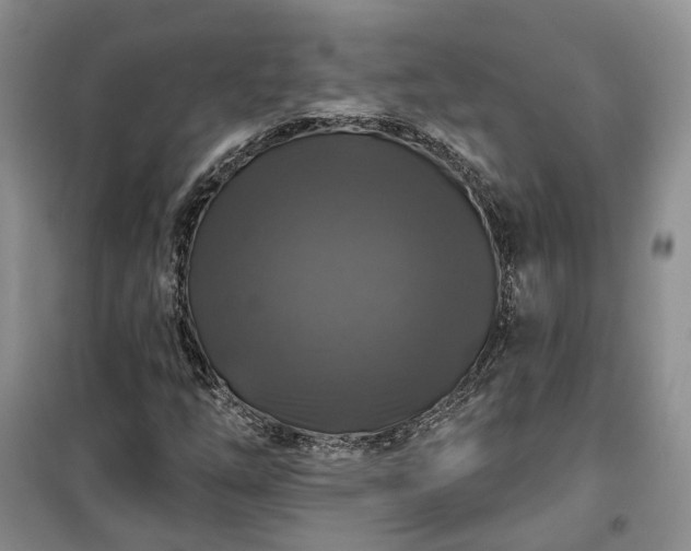 X0000100371254200806131029