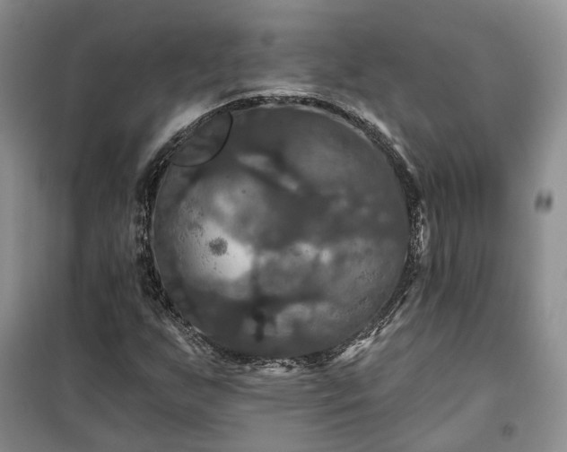 X0000100371255200806131029