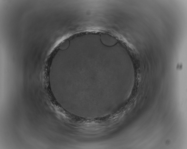 X0000100371256200806131029