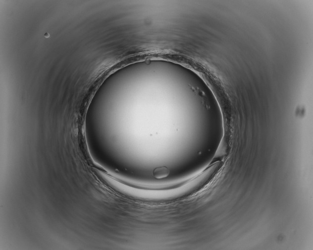 X0000100371257200806131029