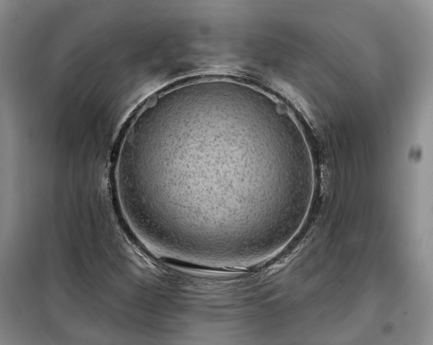 X0000100371260200806131029