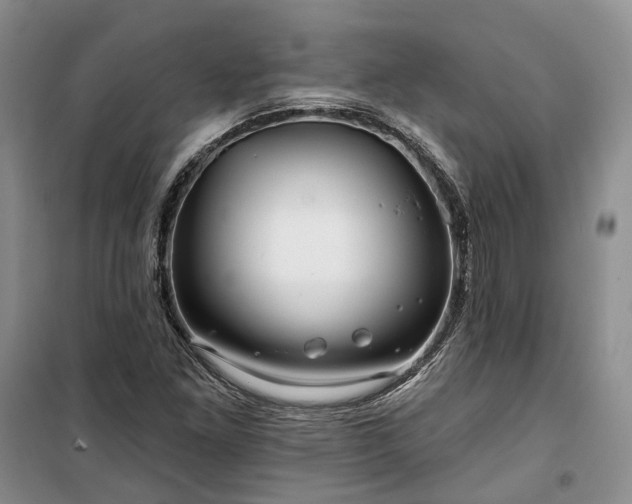 X0000100371261200806131029