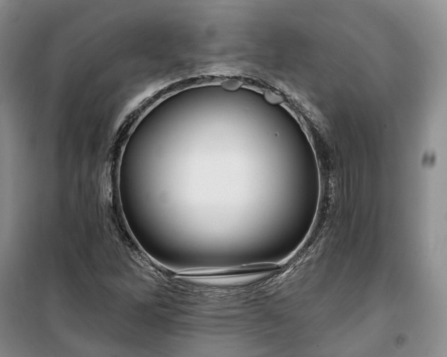 X0000100371262200806131029