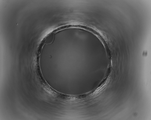 X0000100371263200806131029