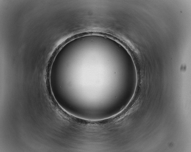 X0000100371264200806131029