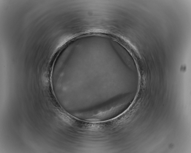 X0000100371266200806131029