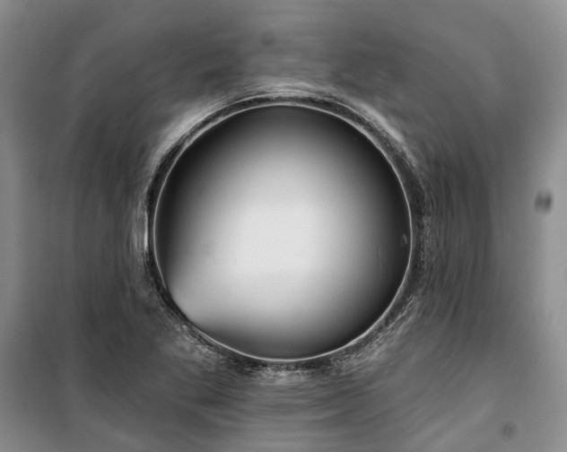 X0000100371269200806131029