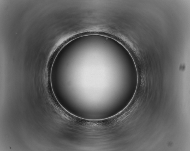 X0000100371270200806131029