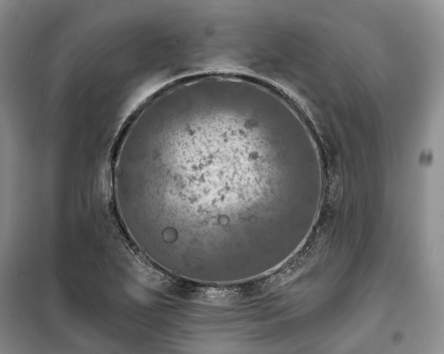 X0000100371271200806131029