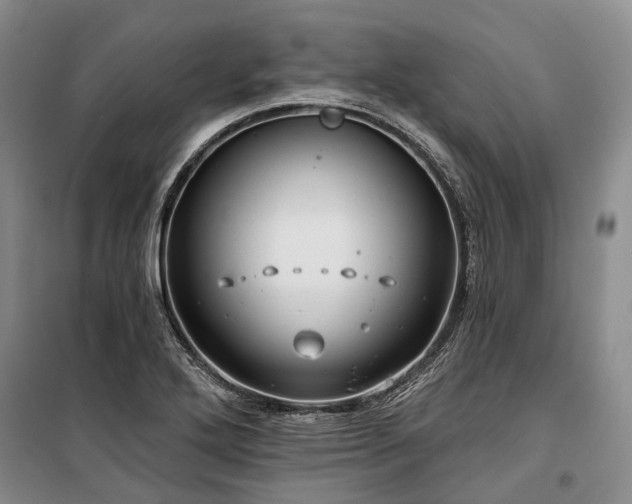 X0000100371272200806131029