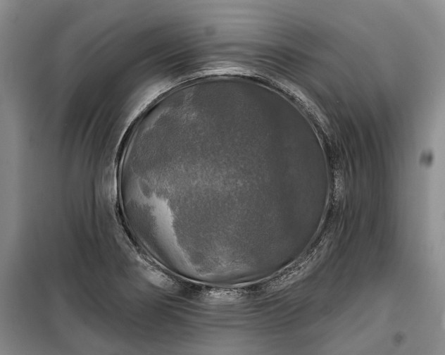 X0000100371274200806131029