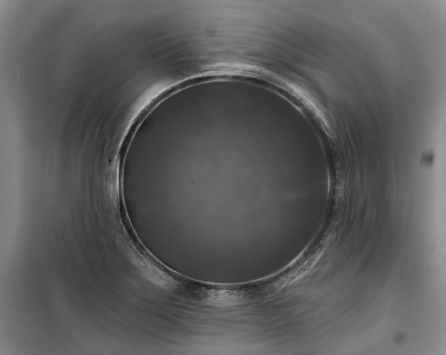 X0000100371275200806131029