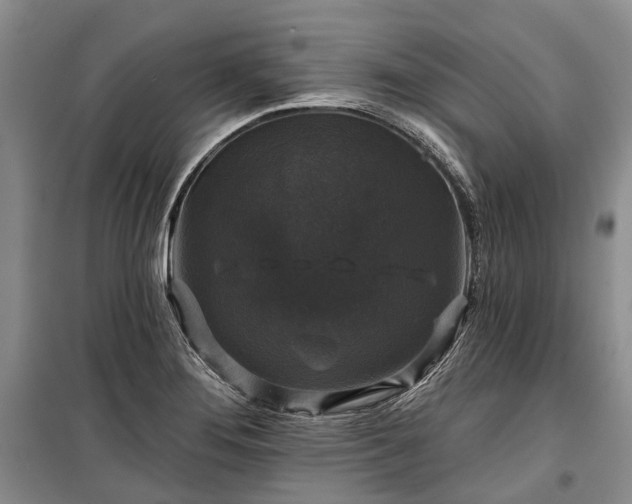 X0000100371276200806131029