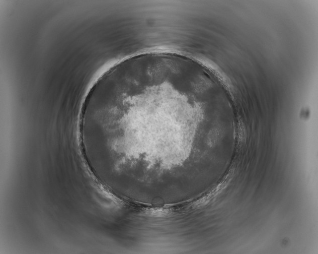 X0000100371278200806131029