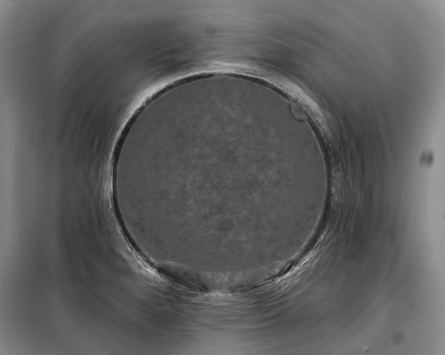 X0000100371280200806131029