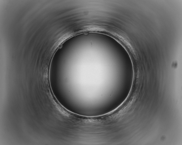 X0000100371281200806131029