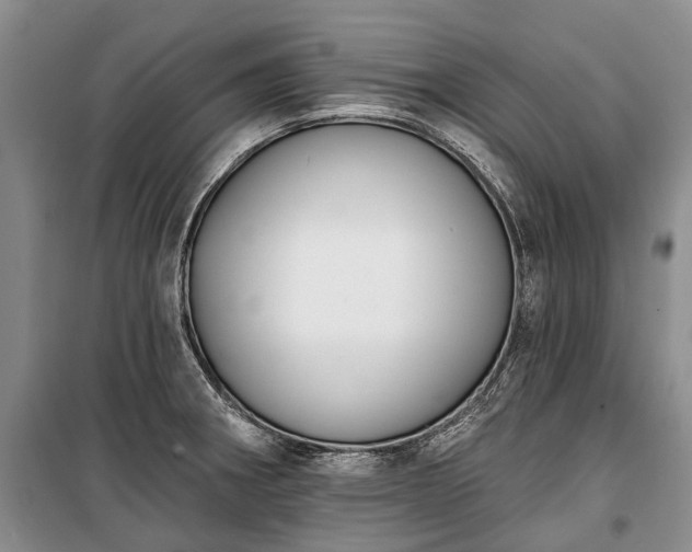 X0000100371282200806131029