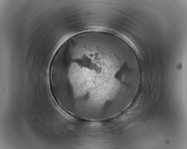 X0000100371283200806131029