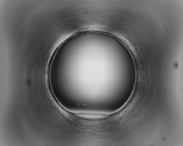 X0000100371285200806131029