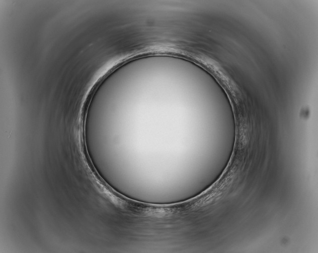 X0000100371286200806131029