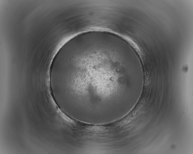 X0000100371287200806131029