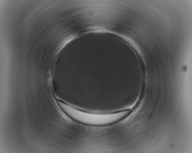 X0000100371289200806131029