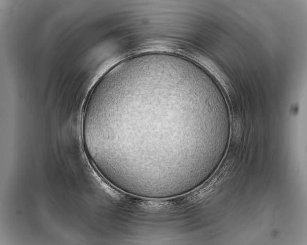 X0000100371290200806131029