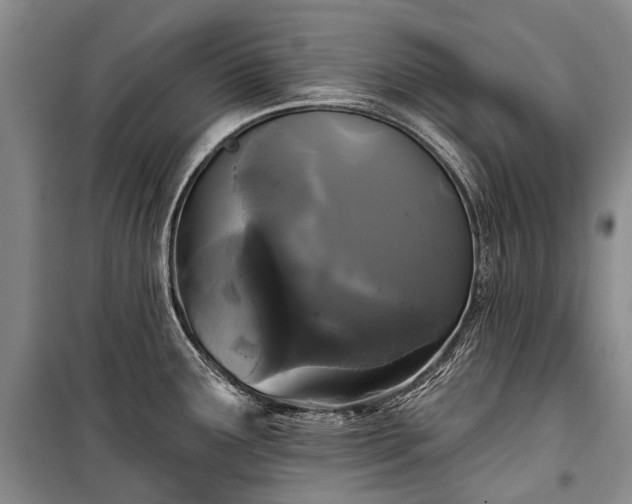 X0000100371291200806131029