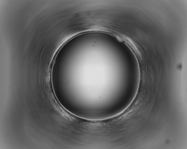 X0000100371292200806131029