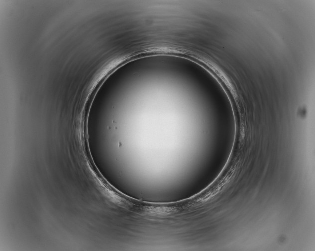 X0000100371293200806131029