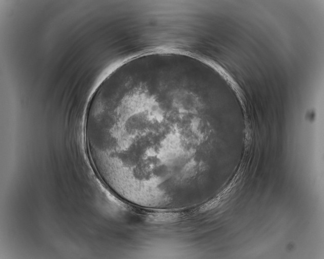 X0000100371294200806131029