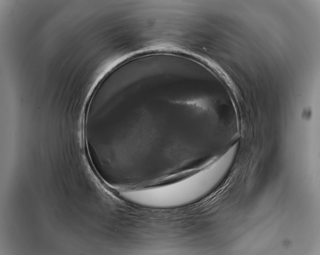 X0000100371295200806131029