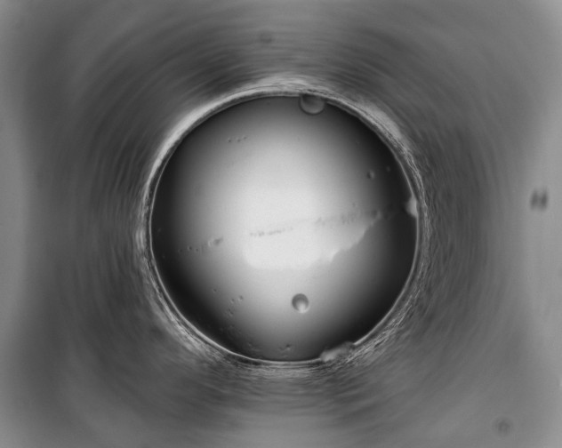 X0000100371296200806131029