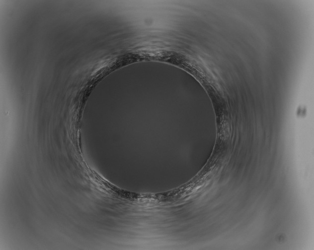 X0000100371297200806131028