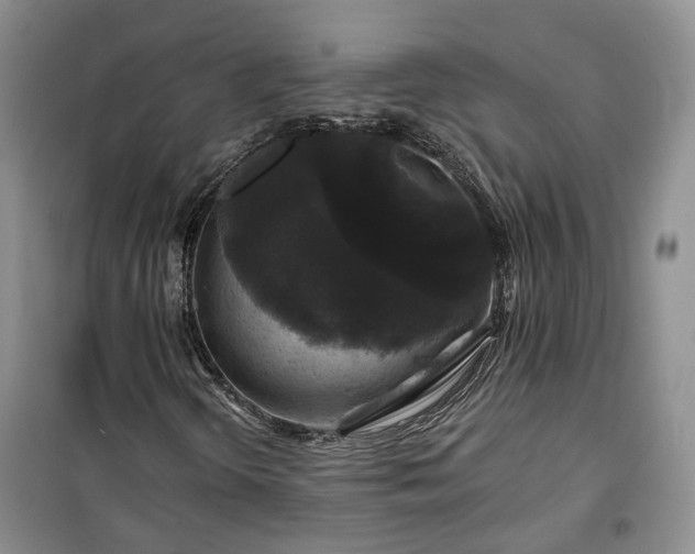 X0000100371298200806131028