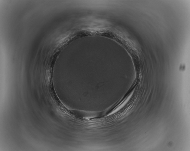 X0000100371300200806131028