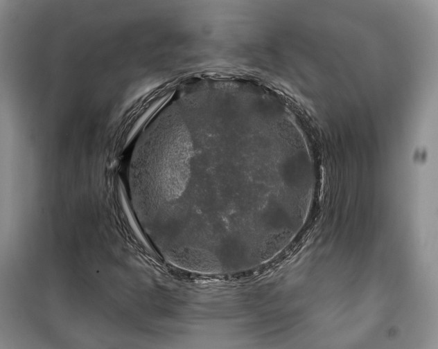 X0000100371302200806131028