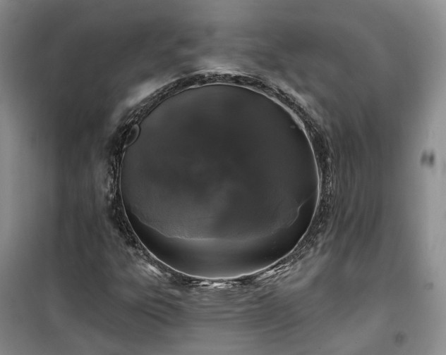 X0000100371303200806131028