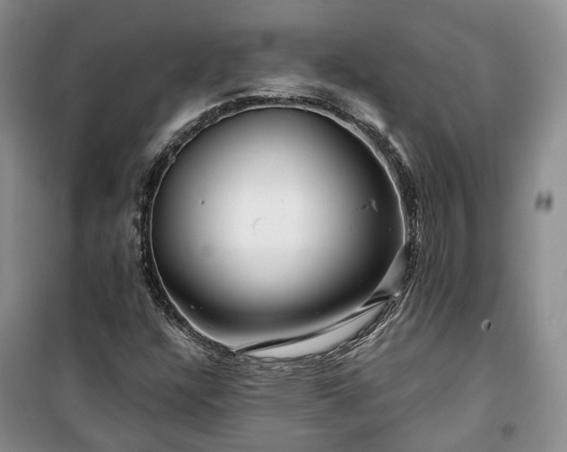 X0000100371304200806131028