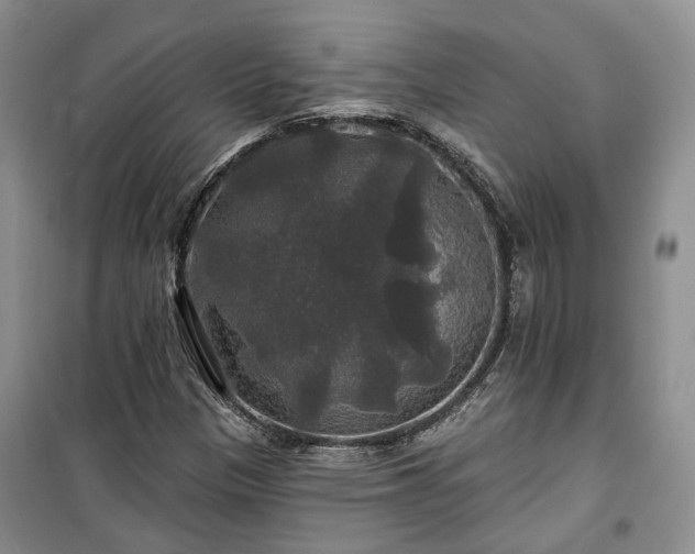 X0000100371305200806131028