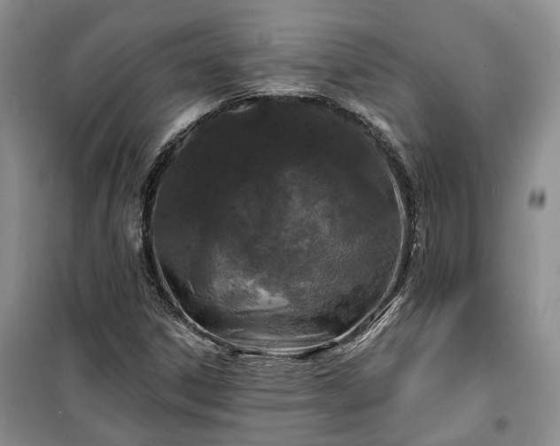 X0000100371306200806131028